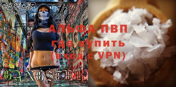 гидра Ельня
