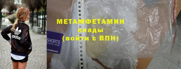гидра Ельня