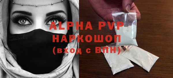 гидра Ельня