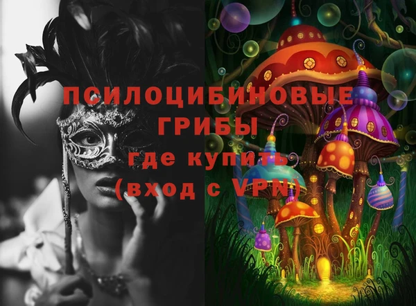 МДПВ Дмитровск