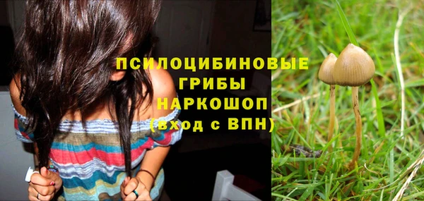 гидра Ельня