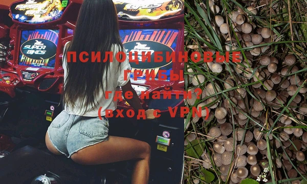 спайс Елизово