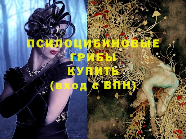 гидра Ельня