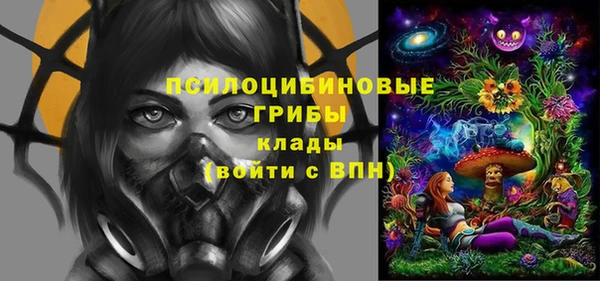 МДПВ Дмитровск