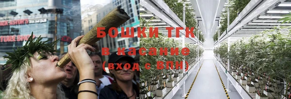 мяу мяу мука Елабуга