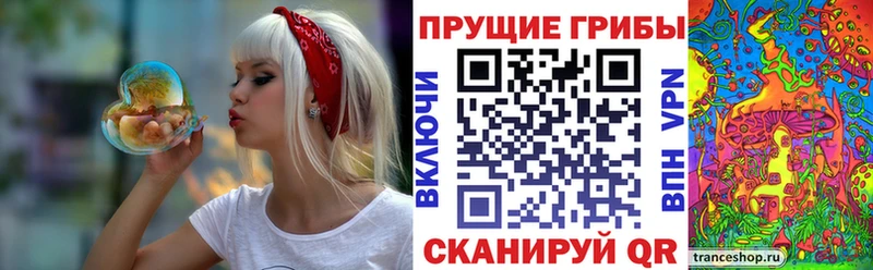 дарк нет официальный сайт  Смоленск  Псилоцибиновые грибы мухоморы 